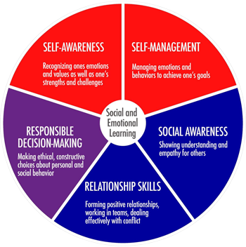 Understanding Social And Emotional Components Of Student